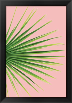 Framed Pink Palm III Print