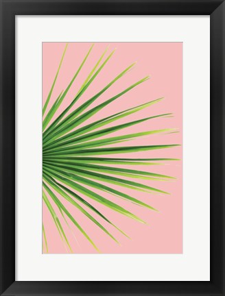 Framed Pink Palm III Print