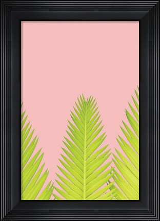Framed Pink Palm IV Print