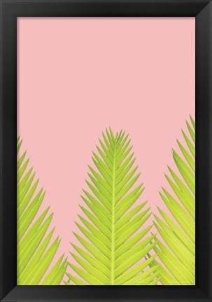 Framed Pink Palm IV Print