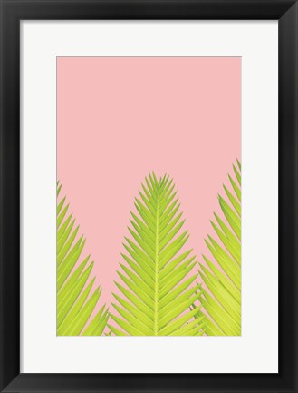 Framed Pink Palm IV Print