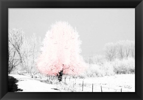 Framed Pink Tree Print