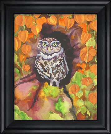 Framed Owl with Asian Lanterns Print