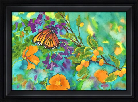 Framed California Monarch Print
