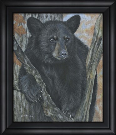 Framed Backyard Visitor Print