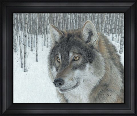 Framed Wolf in Aspens Print
