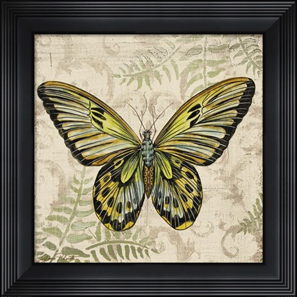 Framed Butterfly Daydreams - A Print