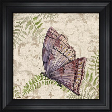 Framed Butterfly Daydreams - B Print