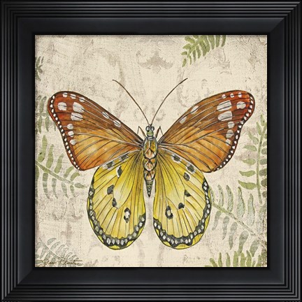 Framed Butterfly Daydreams - C Print