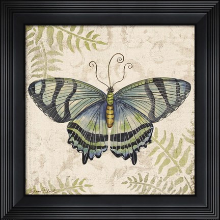Framed Butterfly Daydreams - D Print