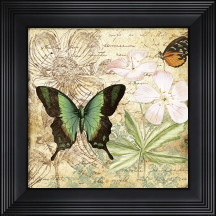 Framed Inspirational Butterflies - C Print