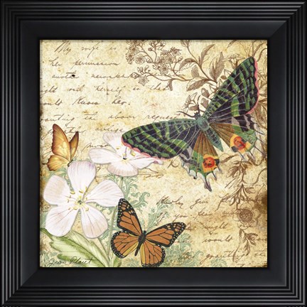 Framed Inspirational Butterflies - D Print