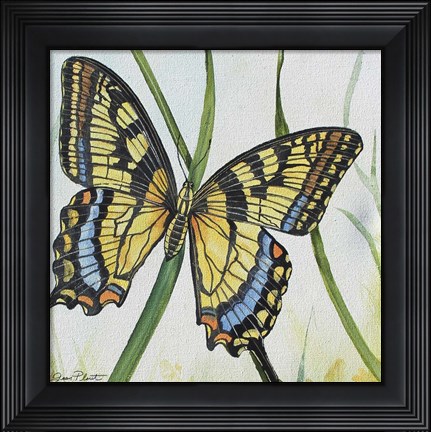 Framed Botanical Beauties B Print