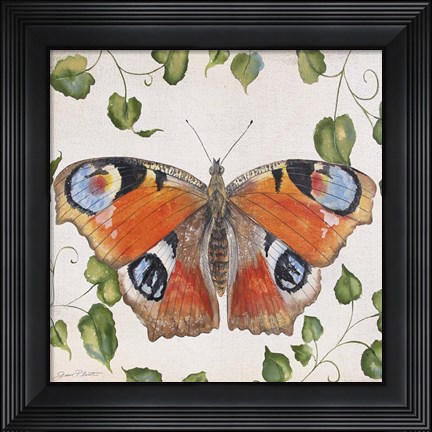 Framed Orange Dream Butterfly Print