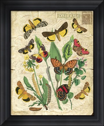 Framed Natures Beauty Print