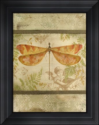 Framed Dragonfly Among The Ferns - C Print