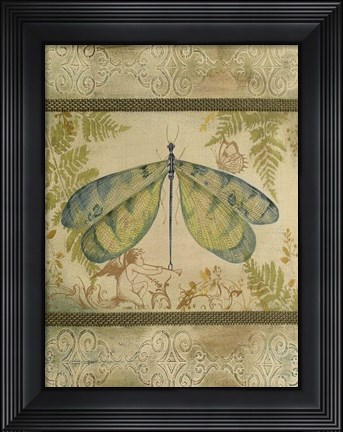 Framed Dragonfly Among The Ferns - B Print