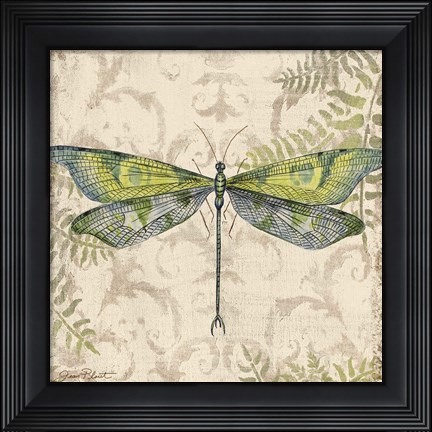 Framed Dragonfly Daydreams - C Print