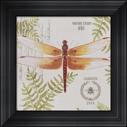 Framed Botanical Dragonfly B Print