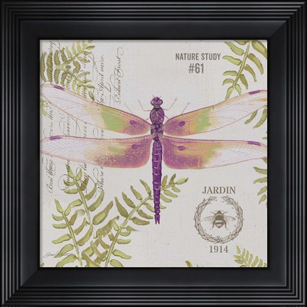 Framed Botanical Dragonfly C Print