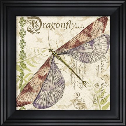Framed Dragonfly Daydreams B Print
