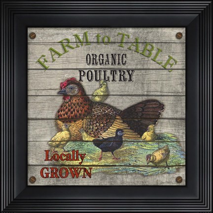 Framed Farm to Table - Poultry Print