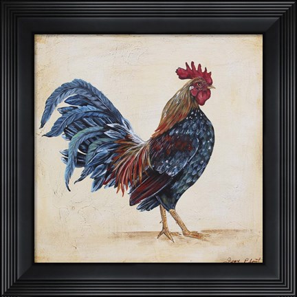 Framed Rooster - C Print