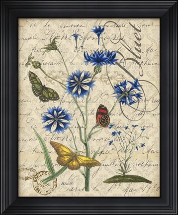 Framed Botanical - Aster Bluet Damask Print