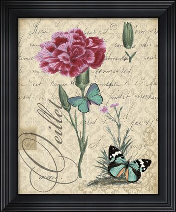 Framed Botanical - Carnation Oeillet Damask Print
