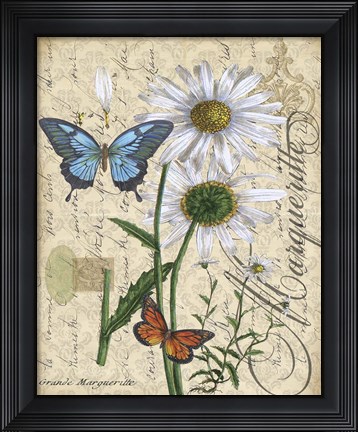 Framed Botanical - Daisey Grande Marqueritte Damask Print