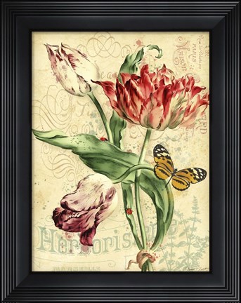 Framed French Florals 2 Print