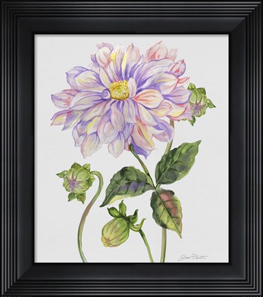 Framed Botanicals 1 Print