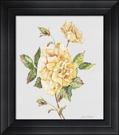 Framed Botanicals 3 Print