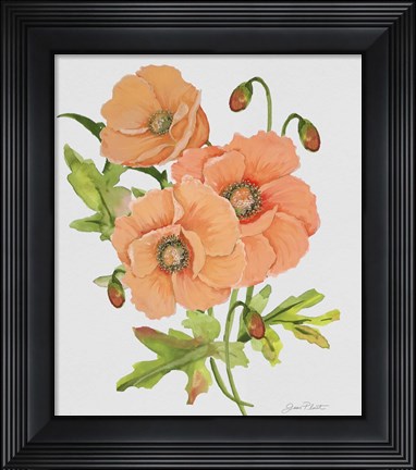 Framed Botanicals 5 Print