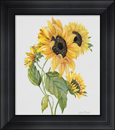 Framed Botanicals 8 Print