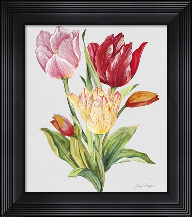 Framed Botanicals 9 Print