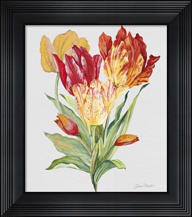 Framed Botanicals 10 Print