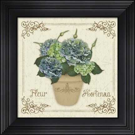 Framed Fleur Hortensia 1 Print