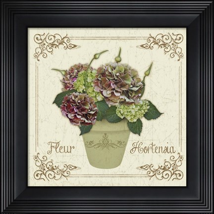 Framed Fleur Hortensia 2 Print