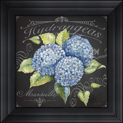 Framed Hydrangeas 1 Print