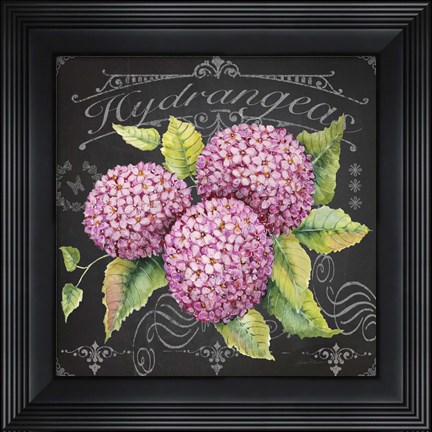 Framed Hydrangeas 2 Print