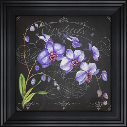 Framed Orchids 1 Print
