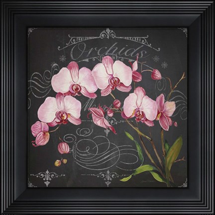 Framed Orchids 2 Print