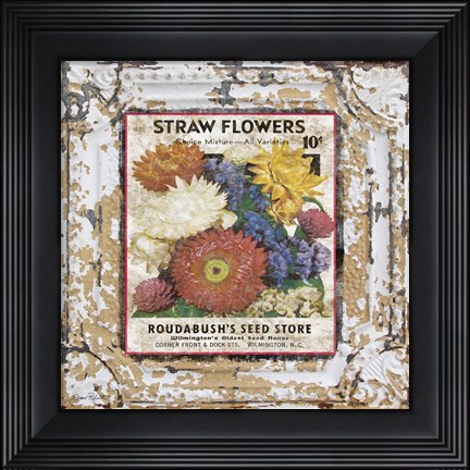 Framed Tin Tile - Straw Flowers Print