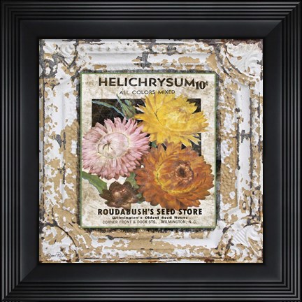 Framed Tin Tile - Helchrysum Print