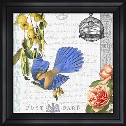 Framed Birdwatchers Dream 1 Print