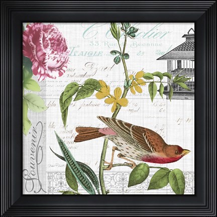 Framed Birdwatchers Dream 2 Print