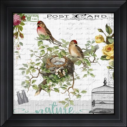 Framed Birdwatchers Dream 3 Print