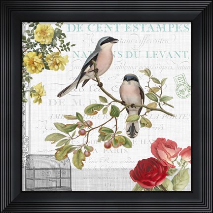 Framed Birdwatchers Dream 4 Print