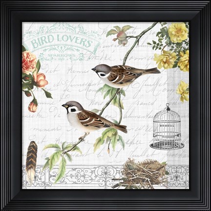 Framed Birdwatchers Dream 5 Print